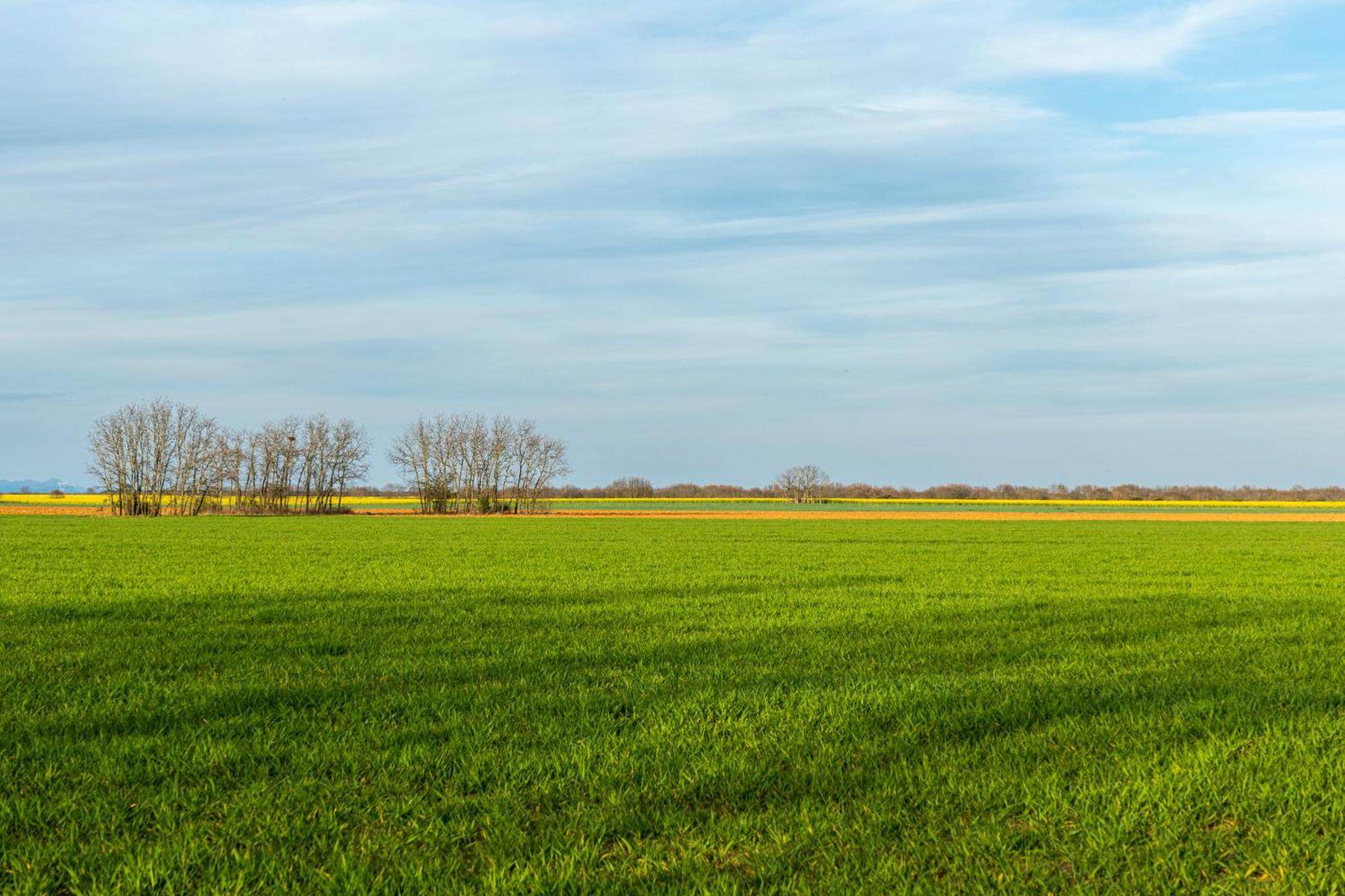 Descubre La Cepedana: Casa Rural Con Encanto En Cogorderos, A Solo 10 Km De Astorga Kültér fotó